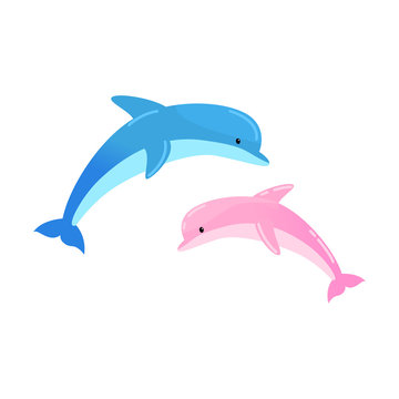 Two jumping dolphins. Vector illustration isolated on white background