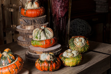 Halloween decoration with pumpkins. Thanksgiving pumpkins on a rustic wooden table with lights. Harvest Concept. Luxury rustic decoration