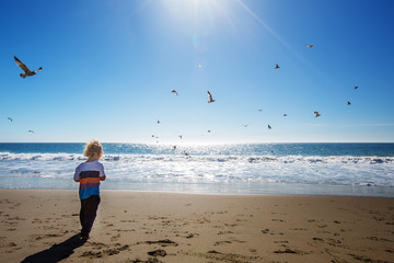 Happy and free boy on the beach with seagulls