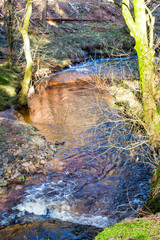 Fototapeta premium Stream in the Peak District National Park, Rowlee Pasture, Derbyshire, Locker Brook. A flowing stream with rocks, clear water and moss