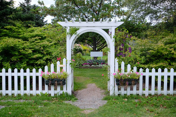 A white wooden arbour erected over a well worn foot path to a flower and shrub garden. The white latticework is covered in vines. Two boxes of pink flowers hangs from a white picket fence. 