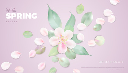 Soft color spring pastel background with spring flowers and leaves