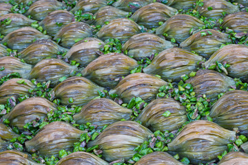 baklava Turkish sweet delight food 