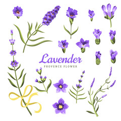 Obraz na płótnie Canvas Set of lavender flowers elements. Collection of lavender flowers on a white background. Vector illustration bundle.