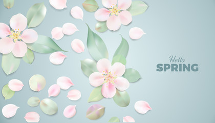 Fototapeta na wymiar Soft color spring pastel background with spring flowers and leaves
