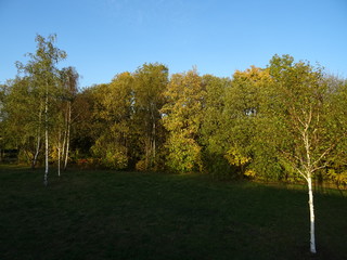 Naklejka premium Oktober in Ilmenau