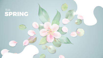 Soft color pastel background with spring flowers and leaves