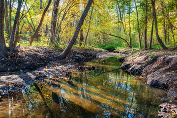 Small river in the sunny autumn park.