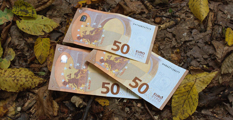 Euro is the currency of Europe. Money close up
