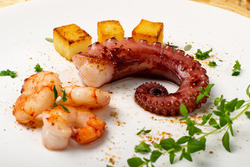 Grilled octopus on white restaurant plate served with shrimps