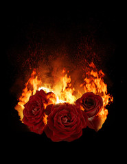 Burning red rose, dark atmospheric mood, fantasy background