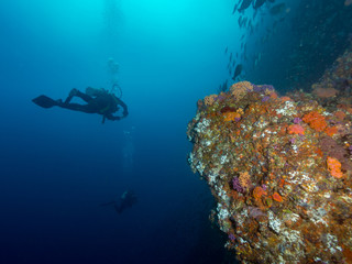 Plakat A scuba diver deep down in the ocean