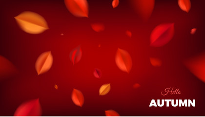 Autumn sale background, nature design elements with red leaves