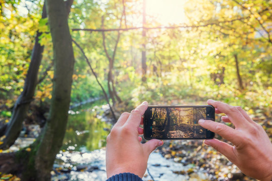 Human hands holding a smartphone and taking picture of  beautiful autumn park.