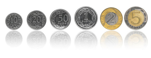 Six Polish currency coins (PLN or 