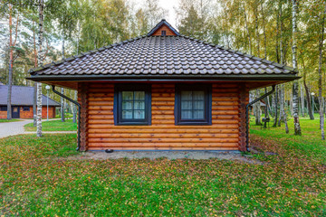 Fototapeta na wymiar Traditional wooden house in the pine forest. Autumn in Europe.