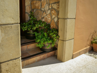 Plants in decorative pots on the staircase