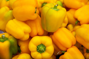 there are orange bell peppers. Lots of sweet pepper for background. Vegetable growing, agriculture. All fresh orange bell pepper background in the market for sale.