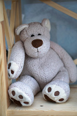 Beautiful teddy bear sits on a shelf in the New Year time. Decorative cute background for design