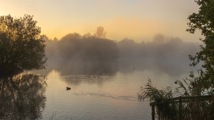 Obraz premium Misty Lake at sunrise