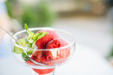 Fruit strawberry sorbet with mint in a bowl 