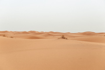Deserto do Saara, Marrocos