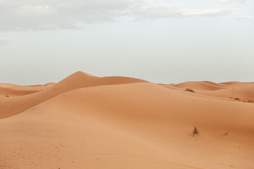 Fototapeta na wymiar Deserto do Saara, Marrocos