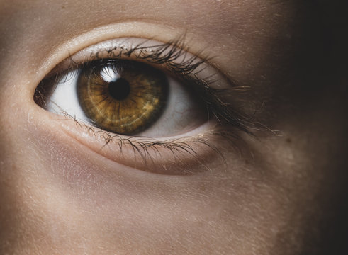 Close-up of a girl's brown eye