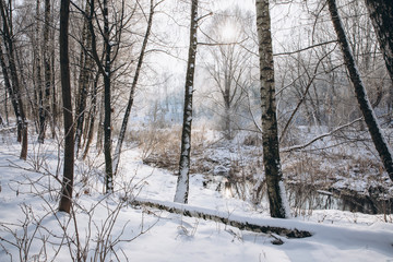 Fototapeta premium Winter landscape with the river and forest in frosty day