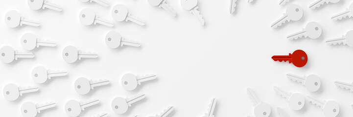 Infinite keys, metaphor of ideas, solutions  and risk management; original 3d rendering