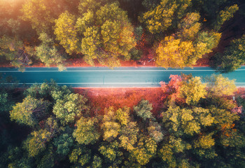 Aerial view of road in beautiful autumn forest at sunset. Colorful landscape with empty asphalt...
