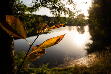 Herbst am see