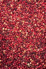 freshly picked red ripe cranberries from a swamp lies in a container