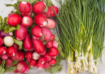 red radish and green onions with dill in bunches