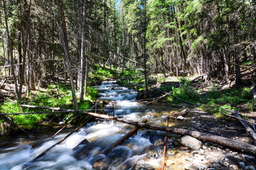 Montana mountain stream