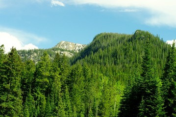 The beauty of Colorado mountains