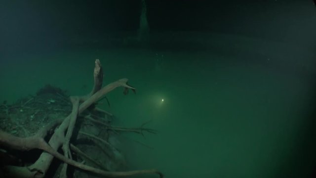 Diver disappears in muddy water halocline near tree roots and sudden change of water salinity in cenotes of underwater cave in Mexico. Cave diving. Phenomenon of wildlife in underwater world.