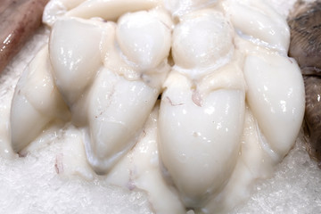 Fishes in a market in town Palamos in Spain