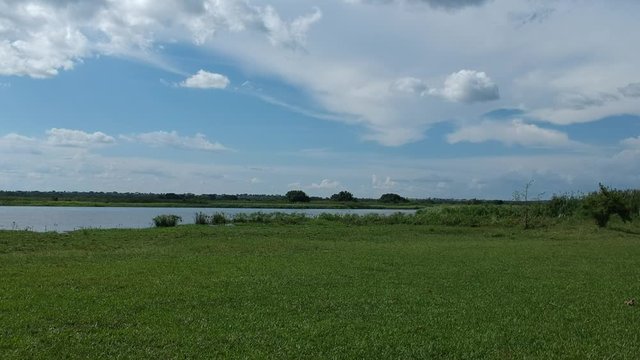 Blue nile river looing at Murchison falls national park
