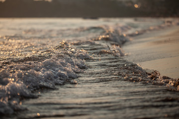 sea wave and sandy beach. sunset light. beautiful natural background