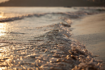 sea wave and sandy beach. sunset light. beautiful natural background