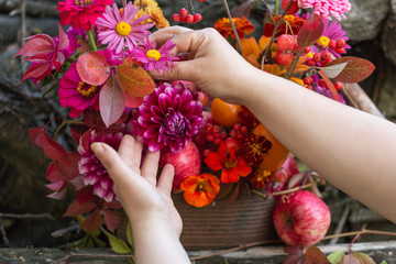  Fall flowers in autumn bouquet. Female hands making bouquet