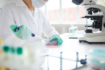 Cropped portrait of young woman preparing test sample in petri dish while working on research in...