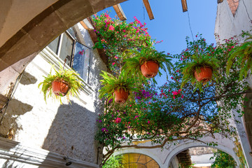 Mexico, Colorful buildings and streets of San Miguel de Allende in historic city center