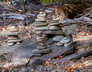 pile of rocks in the forest