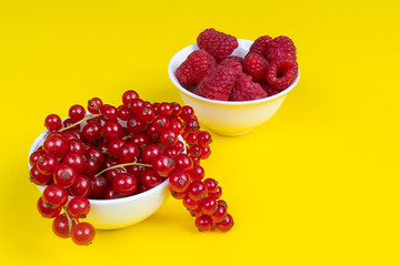 Currant fruits