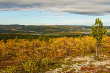 Obraz premium Colorful autumn in northern Norway, Finnmark region 