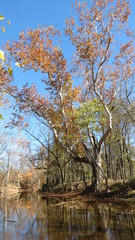 Obraz premium Fall Scene