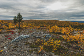 The wild and harsh nature of Finnmark region of Northern Norway	