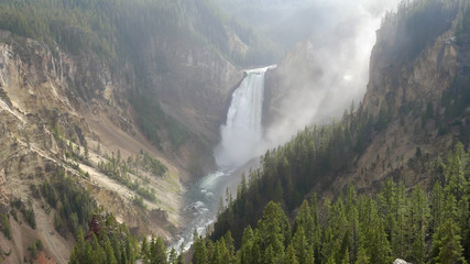 afternoon view of lower falls from lookout point in yellowstone